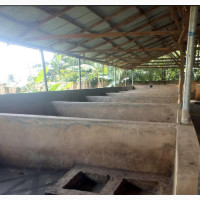 20 Pig House Property