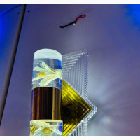LED Wall Bracket