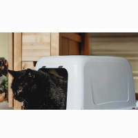 Covered Cat Litters Box