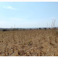 A Very Flat Land Close to the Tarred Road for Sale
