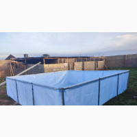 Brand New Big Fish Pond