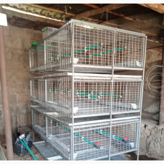 Top-Notch Battery Cages for Poultry Production