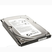 Seagate SATA Internal Desktop Hard Drive (500 GB)