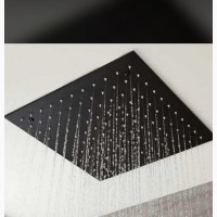 Black 40cm Shower Rose