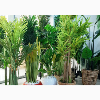 Affordable Artificial House Plants