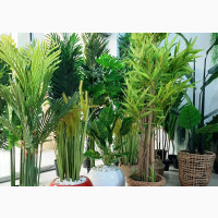 Affordable Artificial House Plants