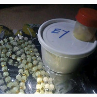 HOT Bead and Soaps for Love Attraction and Protection - Unisex
