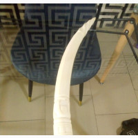 22 Inches Original Ivory Elephant Tusk - Nationwide Delivery Available