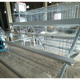 Hot Galvanized Battery Cage 120 Capacity