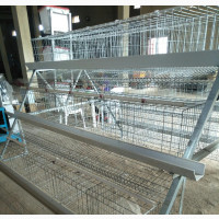 Hot Galvanized Battery Cage 120 Capacity