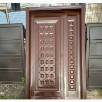 Modern Fancy Design Door