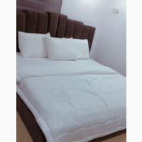 Leadsworth Apartment