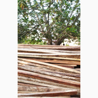 Quality Woodwork Services