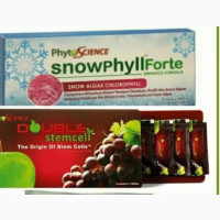 Phytoscience Original Snowphyllforte for Weight Loss