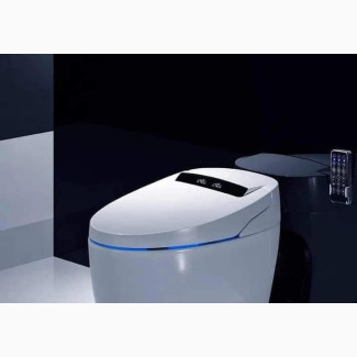 Executive WC for Master Bathrooms