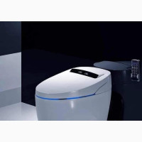Executive WC for Master Bathrooms
