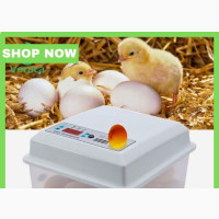 AC and 12v 16 Egg Incubator, Poultry Brooder Machine