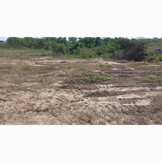 Distress Sale! Pay N10M Instead of N18M for FO1 Plot