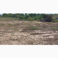 Distress Sale! Pay N10M Instead of N18M for FO1 Plot