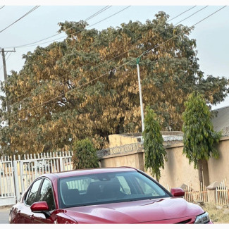 Toyota Camry SE 2023 Red