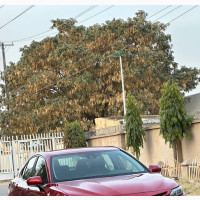 Toyota Camry SE 2023 Red
