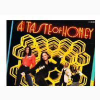 Vinyl LP Album - A Taste of Honey – Another Taste