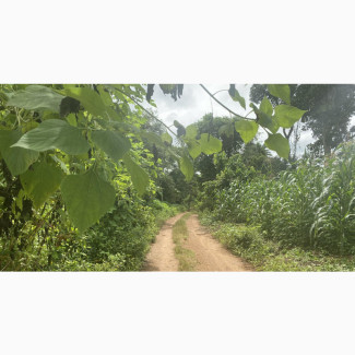 4 Acres of Land with Shed for Sale
