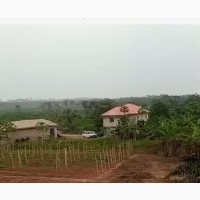 140 Plots of Land Along Temu Opposite Isimi Estate