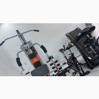 American Fitness Single Station Gym - Best Quality Multi-Station Gym