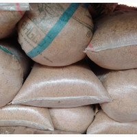 Egusi, Rice, Soyabeans, Corn Seeds More Available