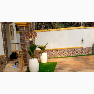 Artificial Synthetic Grass and Exotic Flowers Pots
