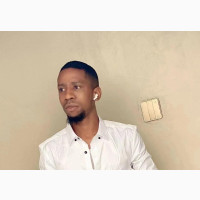 Professional Electrician / Electrical Engineer