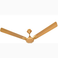 56 Inches Momentum - Gold Colour