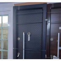 Armored Door
