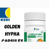 Kedi Golden Hypha Capsule