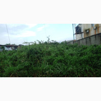 1 Full Plot of Land for Urgent Sale