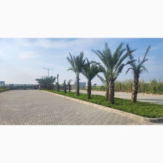 Orange Island Lekki