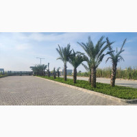 Orange Island Lekki