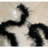 Ostrich and Monkey Tail Feathers for Sale