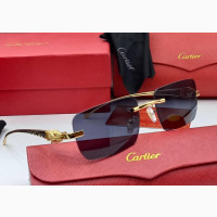 Cartier Unisex Sunglasses | Sunshades