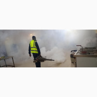 Fumigate Your Apartment and Stay Pest-Free