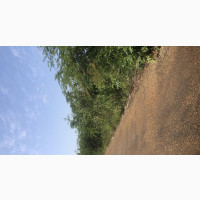 40 Acres of Land for Sale(240plots)