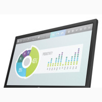 HP P204v 19.5-Inch Monitor (5RD66AA)