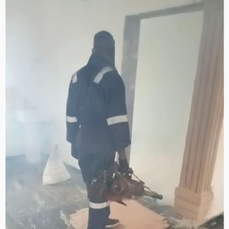 Professional Pest Control and Cleaning Services