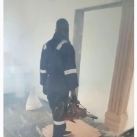 Professional Pest Control and Cleaning Services