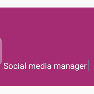 Social Media Manager/Marketer