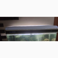 JEBO Fish Tank 4f