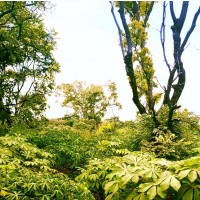 Residential Land for Sale in Enugu State - 500 sqm