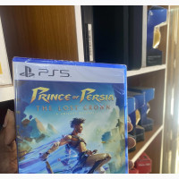 The Prince of Persia Lost Crown