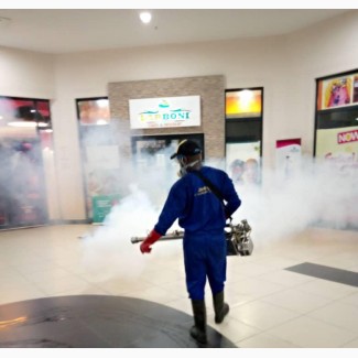 Fumigation Service - Effective and Reliable